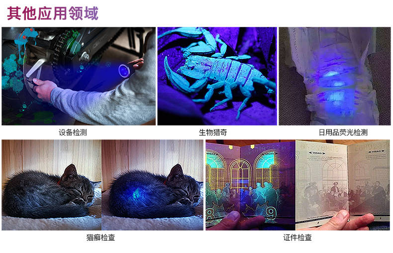 手电筒厂家
