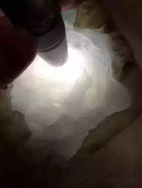 用什么手电筒看种水可靠?